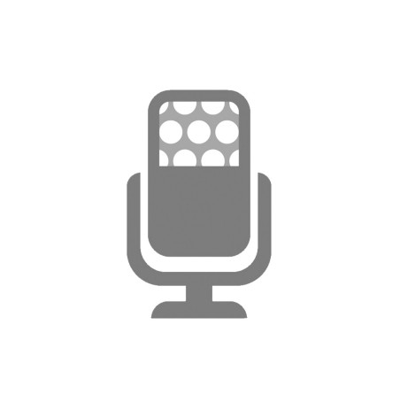 Voice (Calls) feature