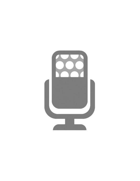 Voice (Calls) feature